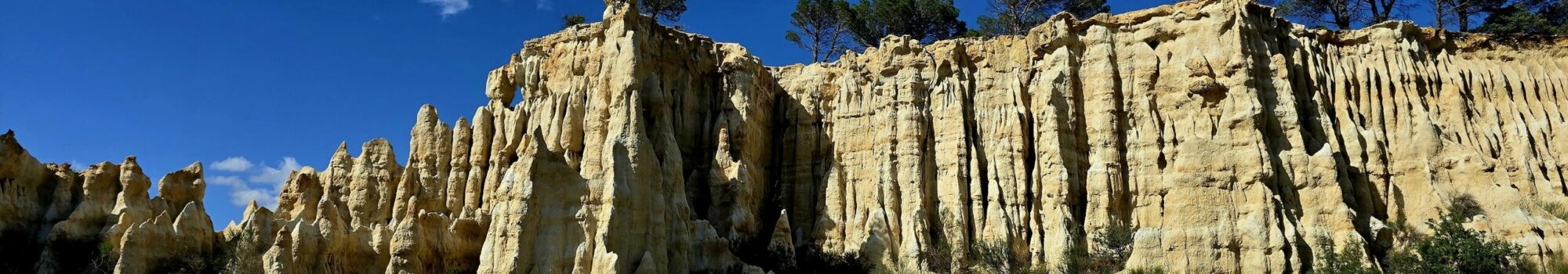 les orgues