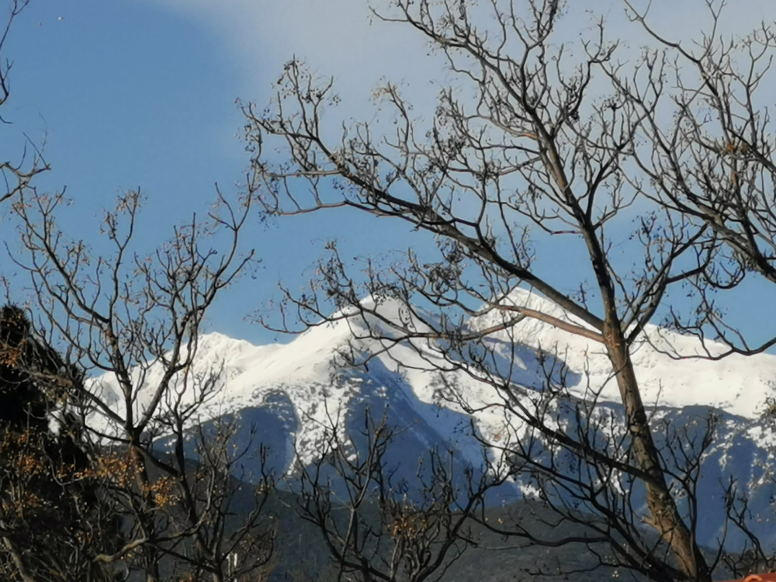 Le Canigou